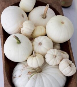 Heirloom White Collection