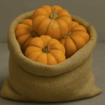 Mini Pumpkin Sack (8 Mini Pumpkins)