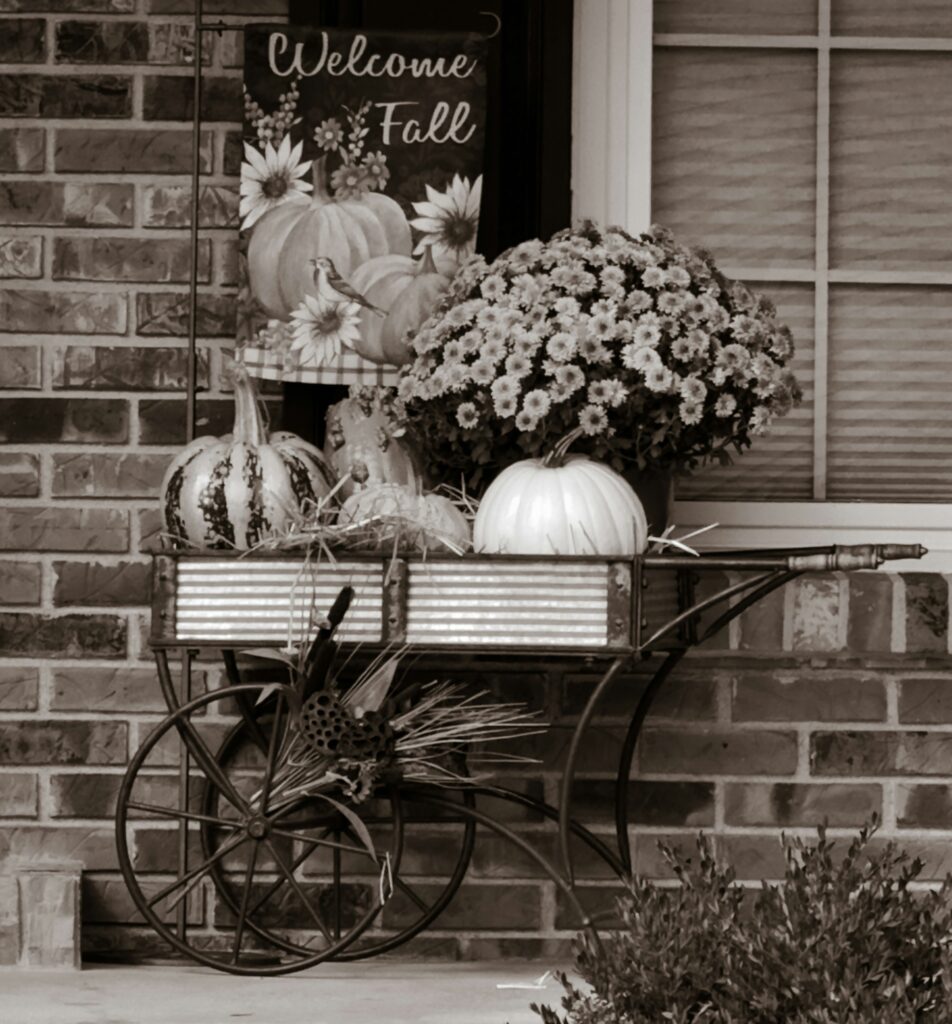 Seasonal porch design blog fall front door with pumpkins and mums display