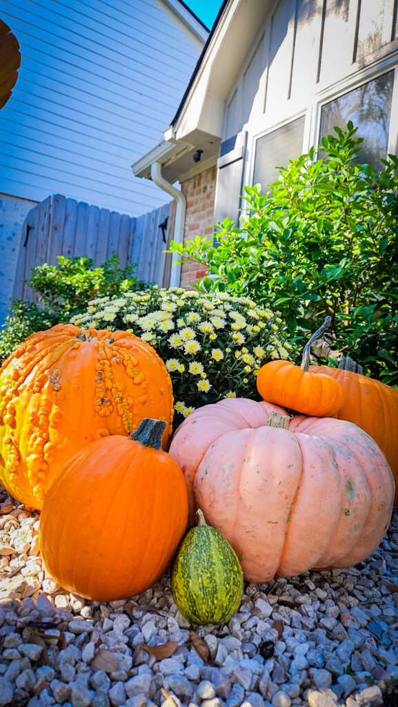 pumpkin decoration ideas for fall porch with colorful pumpkins and gravel background